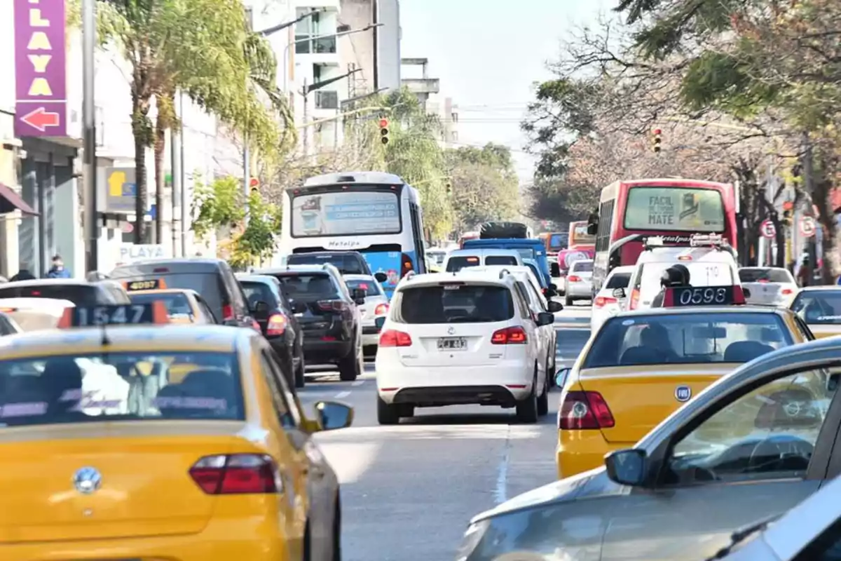 Tráfico intenso en una avenida urbana con varios autos, taxis y autobuses rodeados de árboles y edificios Tráfico intenso en una avenida urbana con varios autos, taxis y autobuses rodeados de árboles y edificios