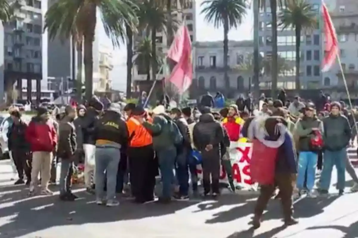 Un grupo de personas se reúne en una plaza rodeada de palmeras y edificios, algunas sostienen banderas y pancartas, parece una manifestación o protesta. Un grupo de personas se reúne en una plaza rodeada de palmeras y edificios, algunas sostienen banderas y pancartas, parece una manifestación o protesta.