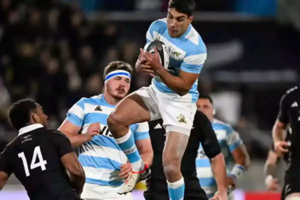 Jugador de rugby argentino salta para atrapar la pelota durante un partido contra un equipo vestido de negro Jugador de rugby argentino salta para atrapar la pelota durante un partido contra un equipo vestido de negro