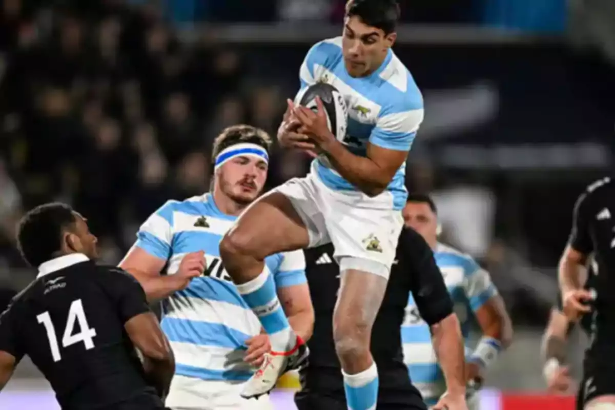 Argentinian rugby player jumps and catches the ball during a match against players dressed in black Argentinian rugby player jumps and catches the ball during a match against players dressed in black