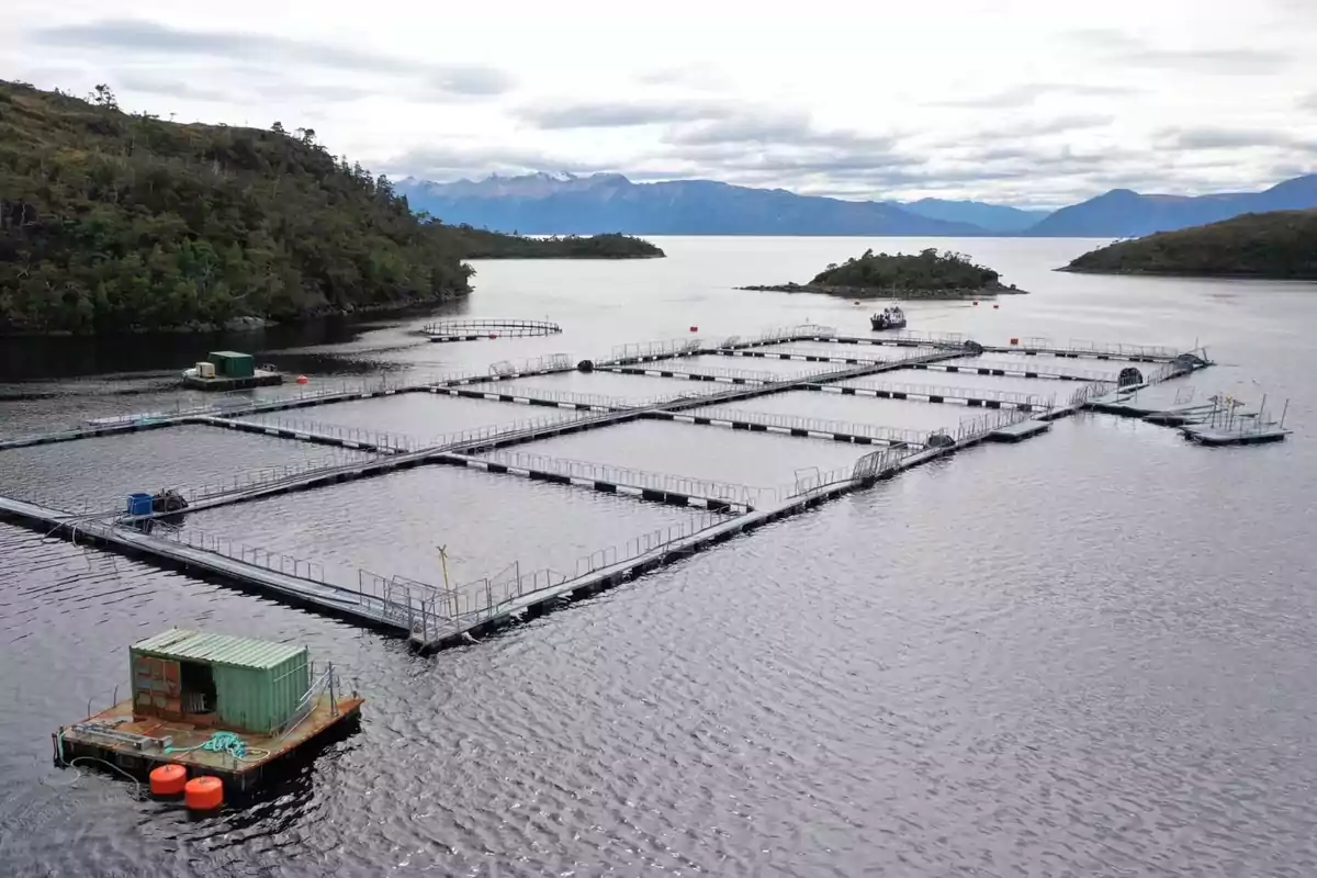 Granja de acuicultura flotante en un lago rodeado de montañas y vegetación Granja de acuicultura flotante en un lago rodeado de montañas y vegetación