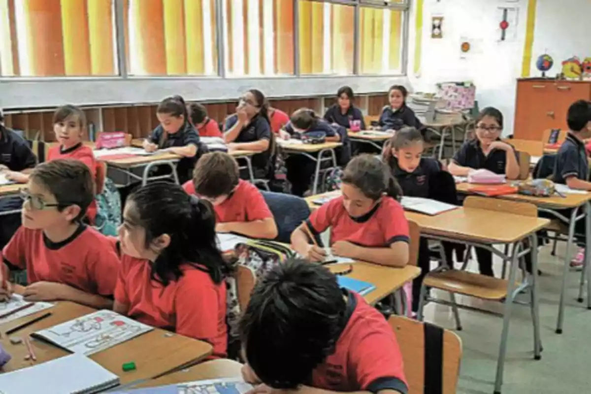 Niños y niñas sentados en sus pupitres trabajando en una clase dentro de un aula escolar iluminada por la luz natural que entra por las ventanas.