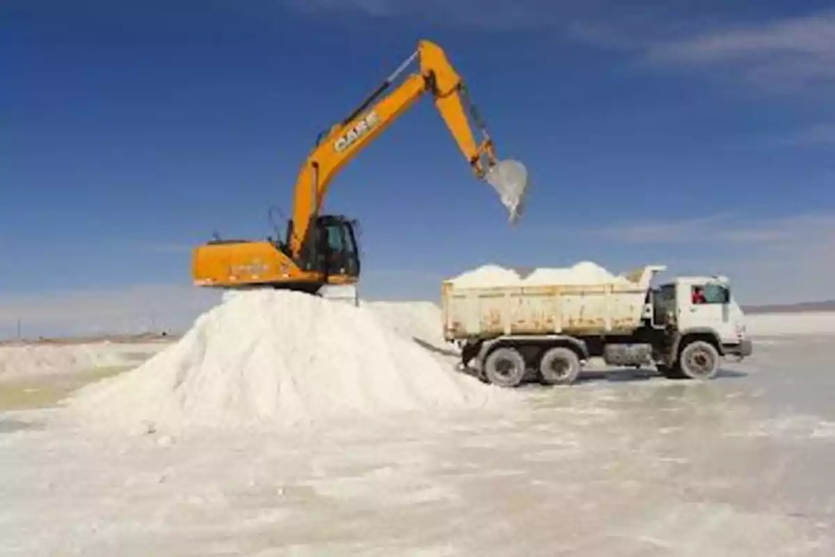 Excavadora cargando sal en un camión en un salar bajo un cielo despejado Excavadora cargando sal en un camión en un salar bajo un cielo despejado
