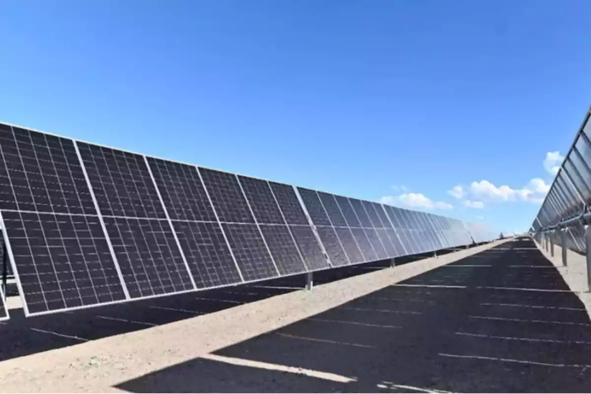 Rows of solar panels installed on land under a clear sky