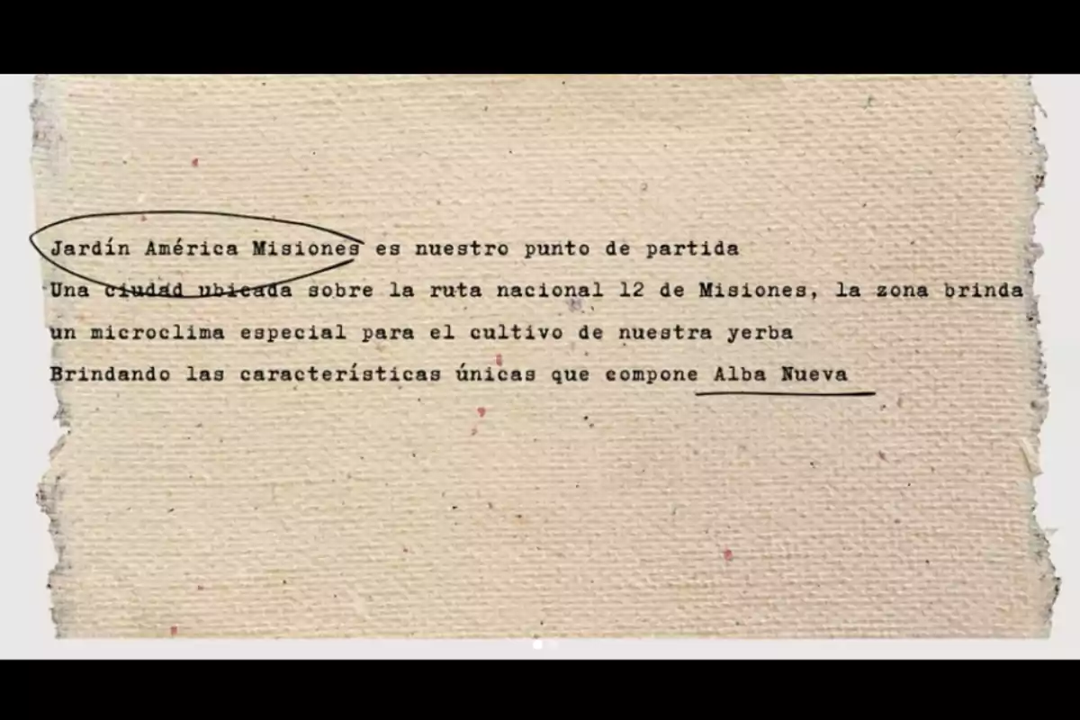 Texto mecanografiado en papel rugoso que describe a Jardín América Misiones como punto de partida para el cultivo de yerba mate, destacando su microclima especial y las características únicas de Alba Nueva, con algunas palabras subrayadas y rodeadas. Texto mecanografiado en papel rugoso que describe a Jardín América Misiones como punto de partida para el cultivo de yerba mate, destacando su microclima especial y las características únicas de Alba Nueva, con algunas palabras subrayadas y rodeadas.