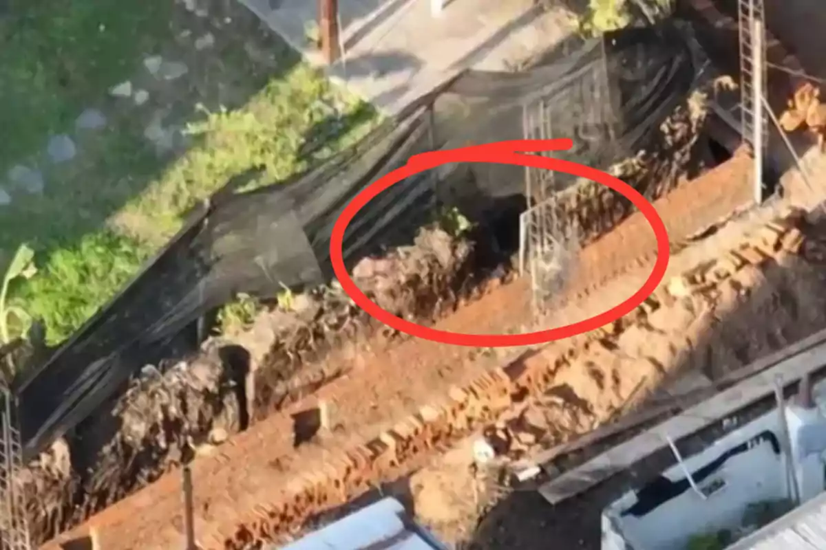 Aerial view of a construction site with a red circle marking a specific area of the land next to a black mesh fence and stacked bricks. Aerial view of a construction site with a red circle marking a specific area of the land next to a black mesh fence and stacked bricks.