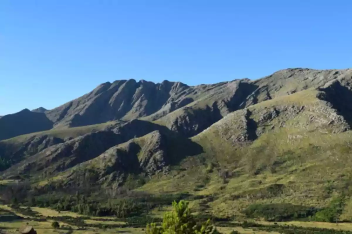 Montañas cubiertas de vegetación bajo un cielo despejado