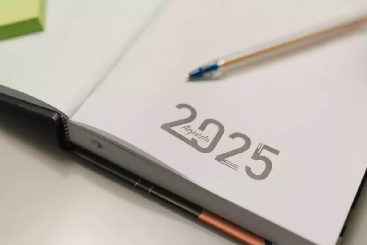Open planner on the 2025 page with a pen on the sheet Open planner on the 2025 page with a pen on the sheet