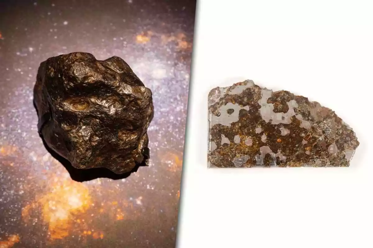 Dos vistas de un meteorito, a la izquierda se muestra el meteorito completo de color oscuro y textura rugosa, mientras que a la derecha se observa un corte pulido que revela su interior con inclusiones minerales.