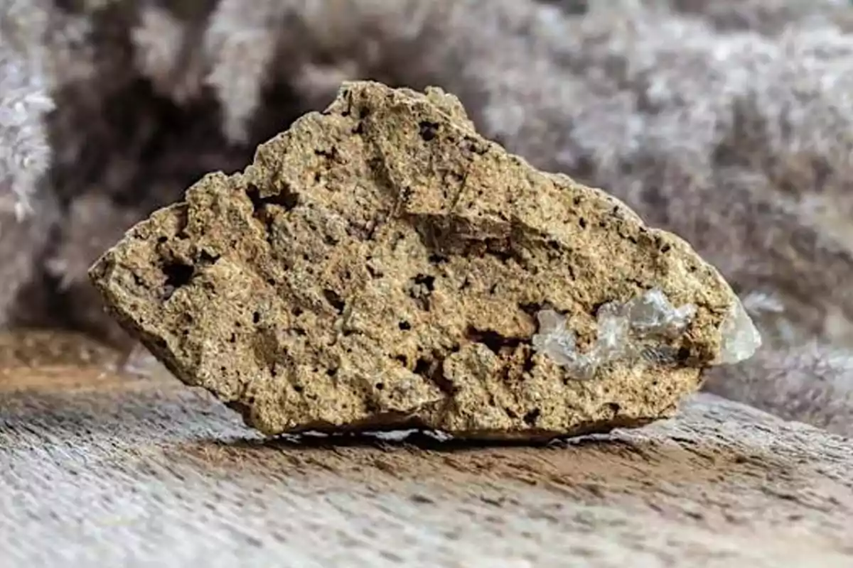 Roca de textura porosa y color marrón claro con pequeños cristales blancos sobre una superficie de madera Roca de textura porosa y color marrón claro con pequeños cristales blancos sobre una superficie de madera