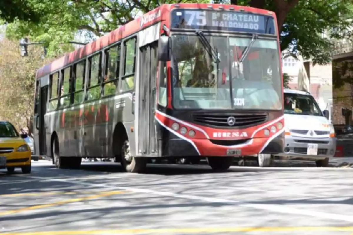 Un colectivo urbano de color rojo y negro circula por una calle arbolada junto a otros vehículos.