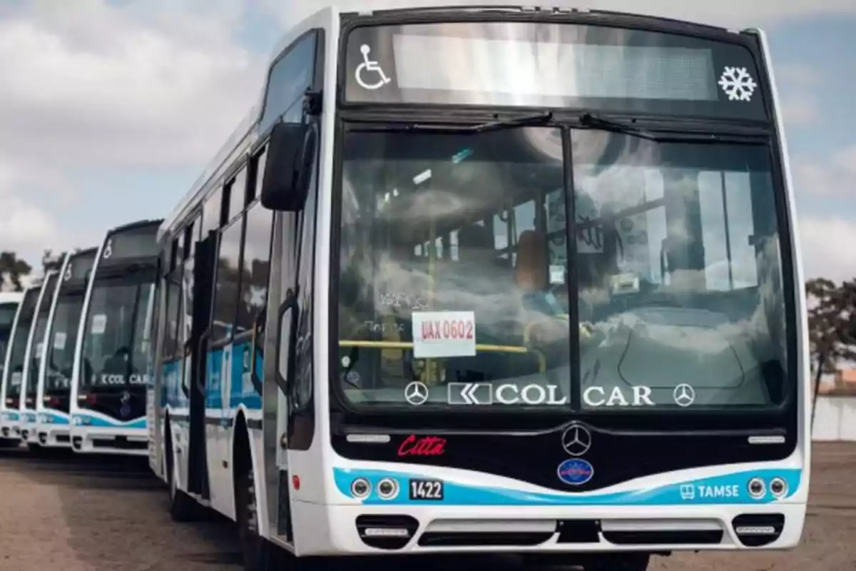 Varios autobuses blancos y azules alineados en fila en una terminal bajo un cielo nublado Varios autobuses blancos y azules alineados en fila en una terminal bajo un cielo nublado