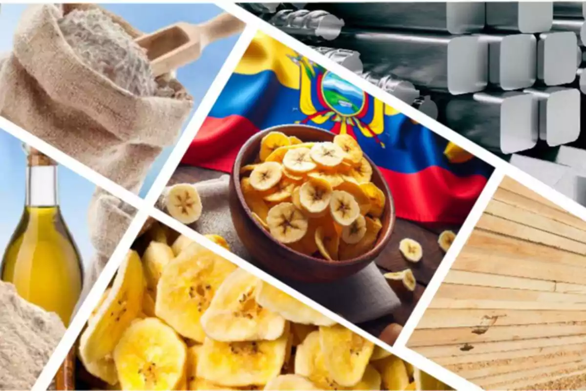 Productos ecuatorianos como harina, aceite, banano deshidratado, madera y metal junto a la bandera de Ecuador Productos ecuatorianos como harina, aceite, banano deshidratado, madera y metal junto a la bandera de Ecuador