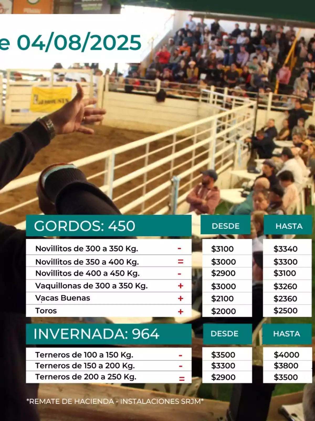Subasta de ganado con público en las gradas y una persona señalando hacia la pista, se muestran categorías y precios de venta de animales como novillitos, vaquillonas, vacas y terneros, con valores mínimos y máximos para cada tipo, y la fecha 04/08/2025 en la parte superior Subasta de ganado con público en las gradas y una persona señalando hacia la pista, se muestran categorías y precios de venta de animales como novillitos, vaquillonas, vacas y terneros, con valores mínimos y máximos para cada tipo, y la fecha 04/08/2025 en la parte superior
