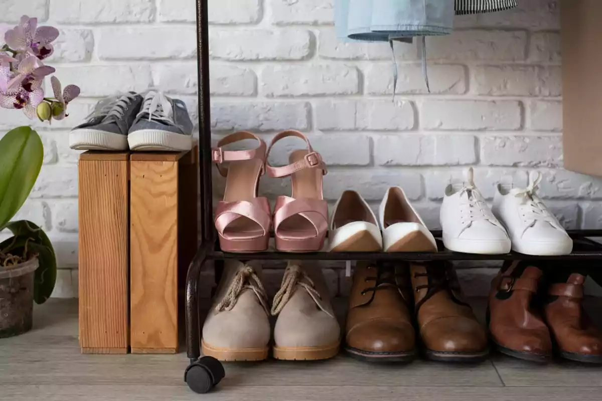 Several pairs of shoes organized on a shelf in front of a white brick wall next to an orchid plant