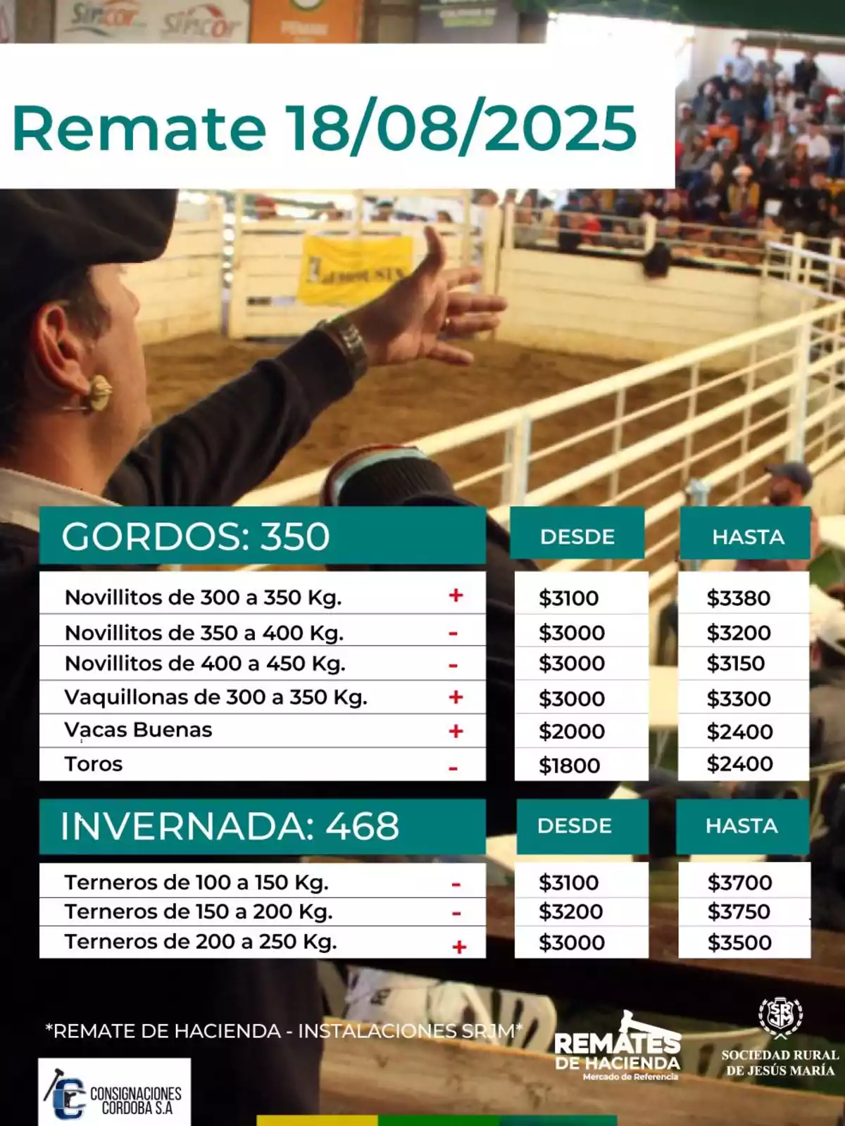 Auction poster for livestock sale scheduled for August 18, 2025, with price information for finished and feeder cattle, showing animal categories, minimum and maximum values, and an image of an auctioneer in action in front of the public in a corral. Auction poster for livestock sale scheduled for August 18, 2025, with price information for finished and feeder cattle, showing animal categories, minimum and maximum values, and an image of an auctioneer in action in front of the public in a corral.
