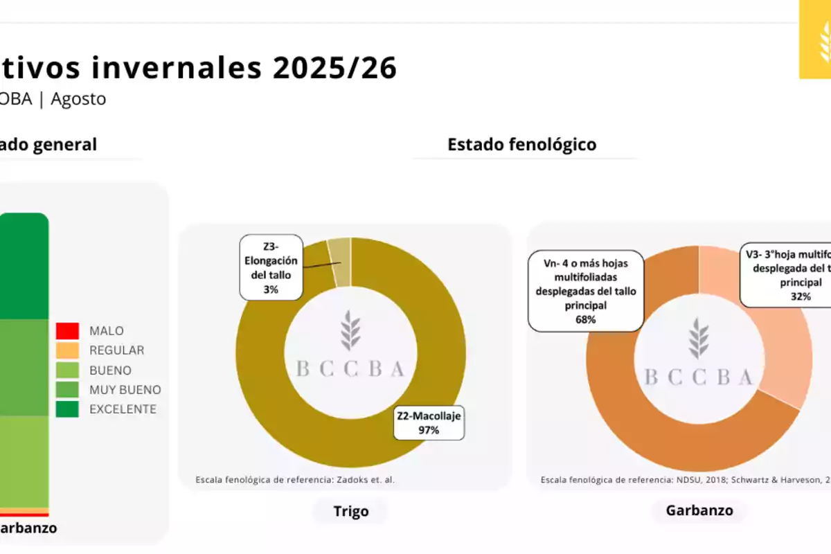 Gráficos sobre el estado general y fenológico de cultivos invernales 2025-2026 en Córdoba, mostrando el estado del garbanzo y trigo, con predominio de estados buenos y muy buenos, y detalles de las fases de desarrollo de cada cultivo. Gráficos sobre el estado general y fenológico de cultivos invernales 2025-2026 en Córdoba, mostrando el estado del garbanzo y trigo, con predominio de estados buenos y muy buenos, y detalles de las fases de desarrollo de cada cultivo.