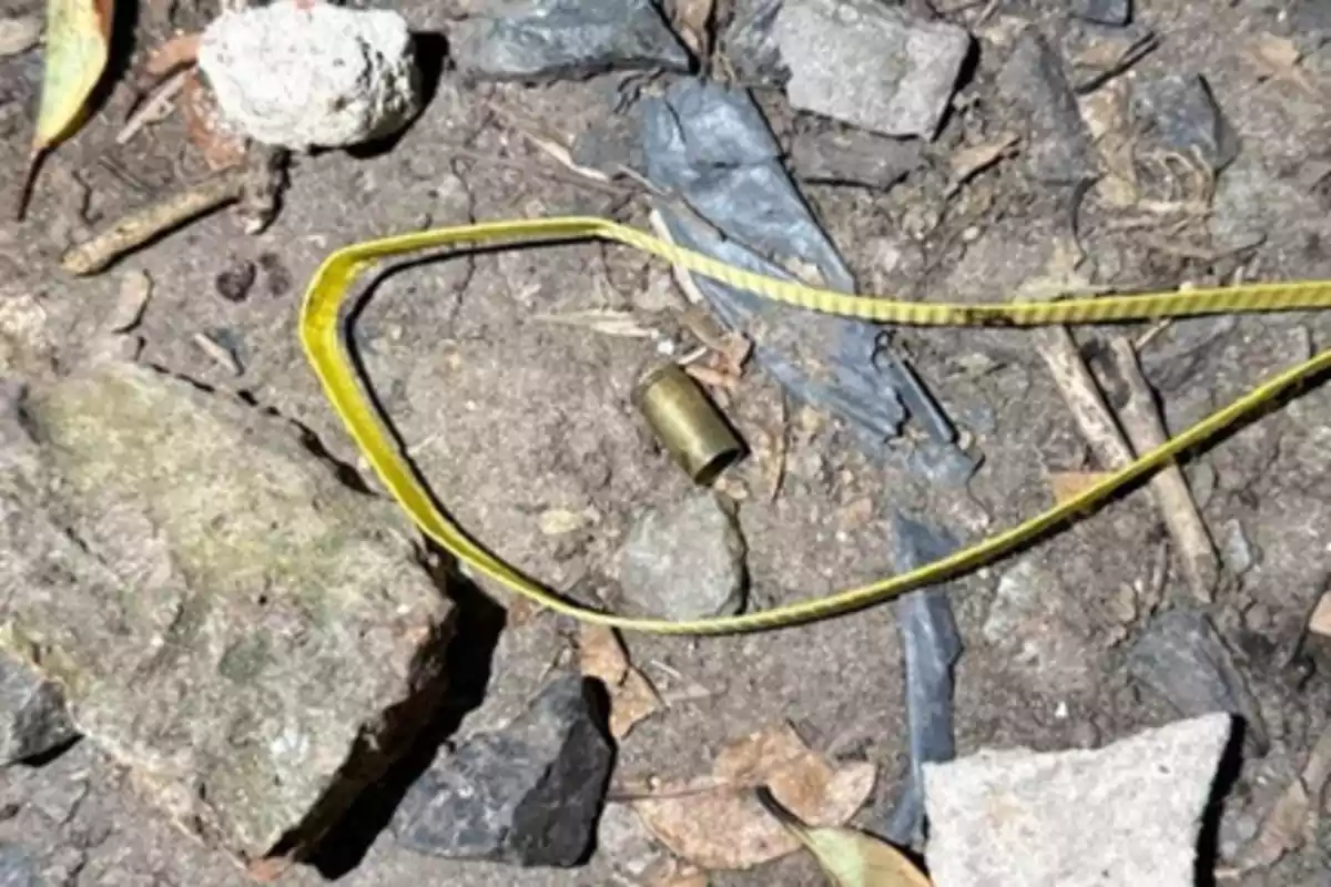Bullet cartridge on the ground surrounded by yellow tape among stones and dry leaves Bullet cartridge on the ground surrounded by yellow tape among stones and dry leaves