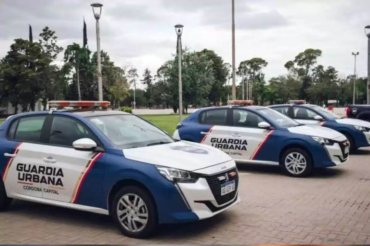 Several Córdoba Capital Urban Guard cars parked in a row in a wooded area Several Córdoba Capital Urban Guard cars parked in a row in a wooded area