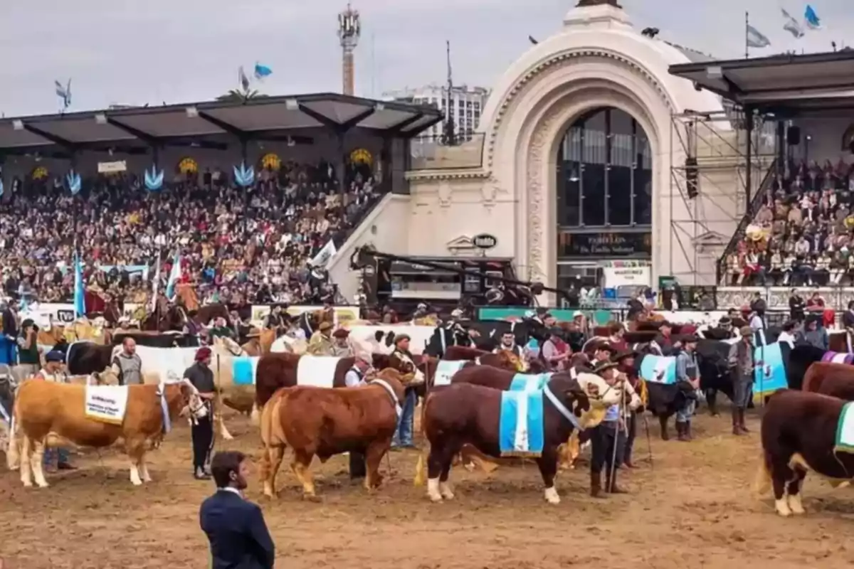 Exhibición de ganado en una feria rural con público en las gradas y una arquitectura clásica de fondo Exhibición de ganado en una feria rural con público en las gradas y una arquitectura clásica de fondo