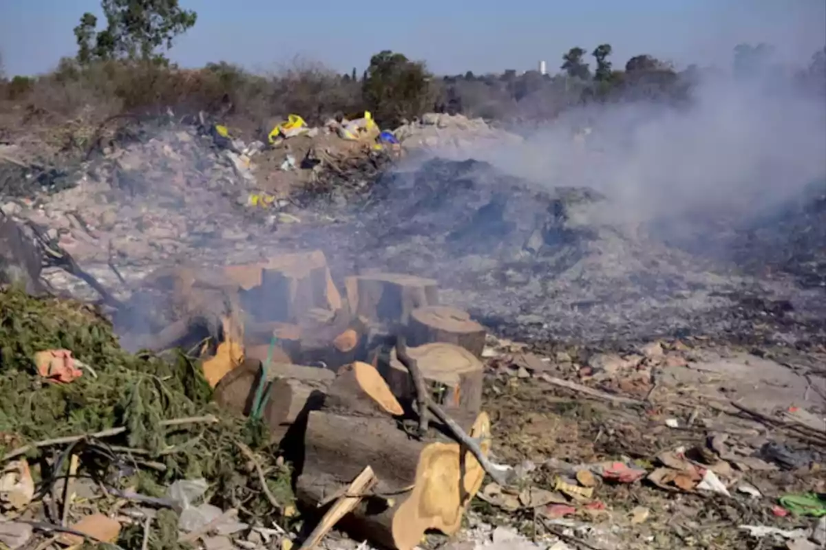 Passerini cercado por la basura: Córdoba suma más de 90 macrobasurales