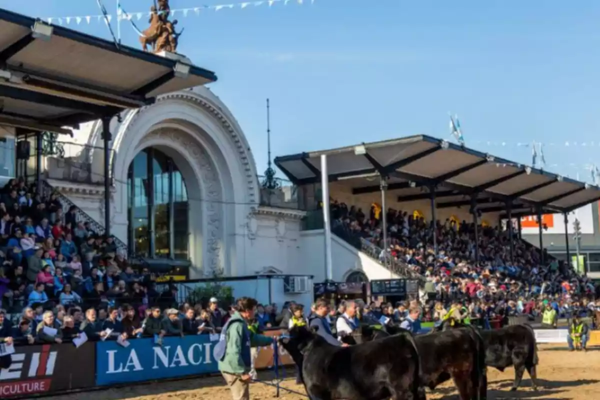 Personas observan una exposición de ganado en una pista al aire libre con gradas llenas y un edificio histórico al fondo Personas observan una exposición de ganado en una pista al aire libre con gradas llenas y un edificio histórico al fondo