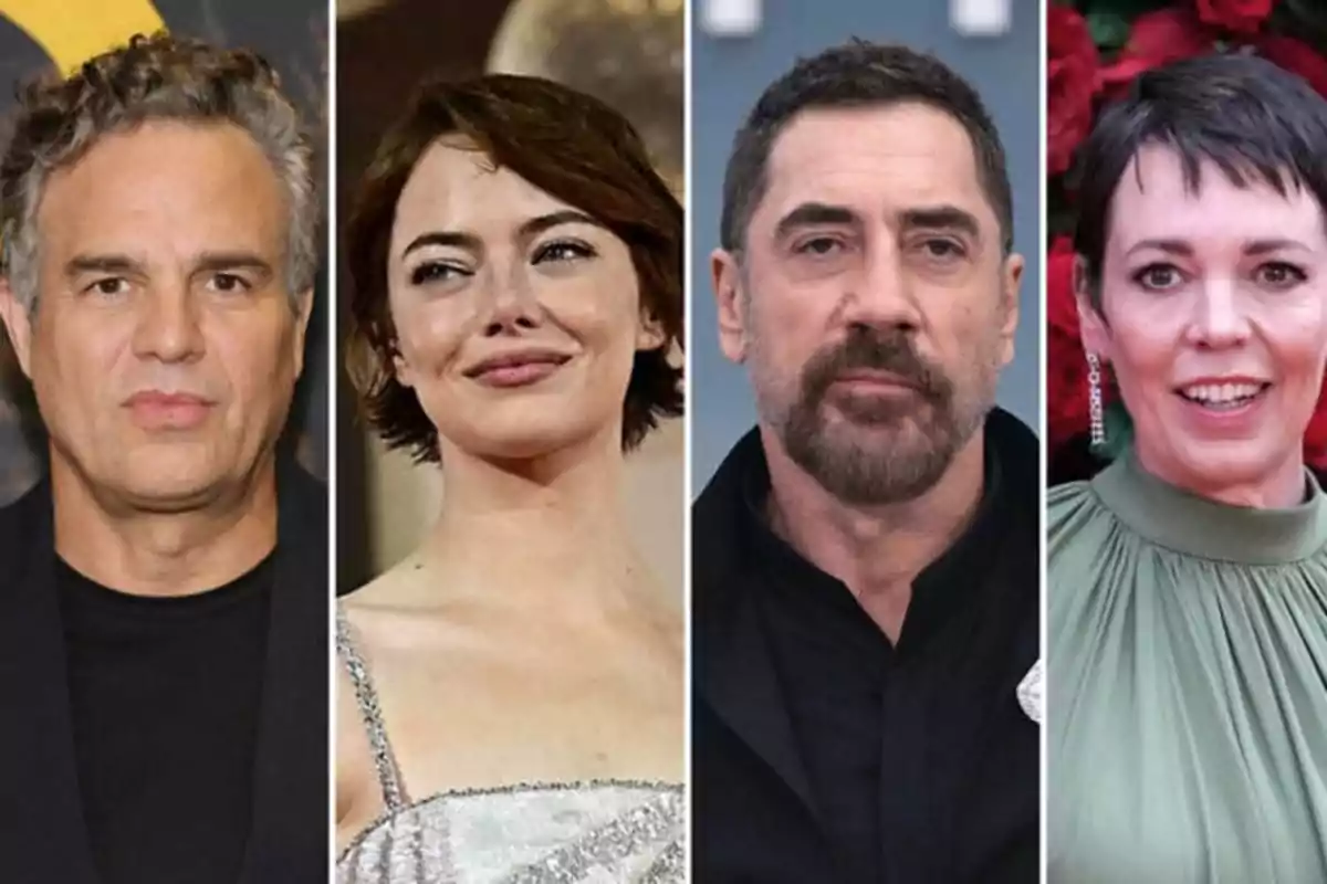Cuatro personas posan en primer plano en una imagen dividida en cuatro secciones verticales