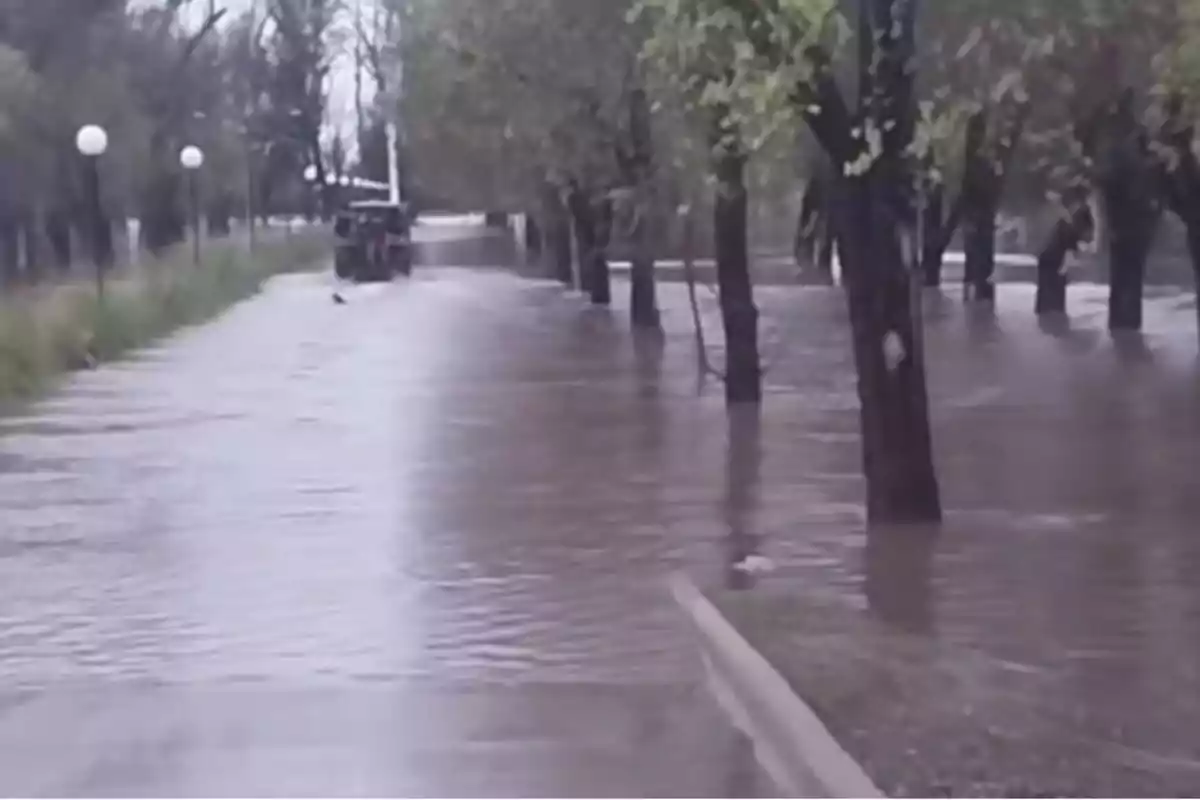 Flooded street with trees and a vehicle in the background during a heavy water surge