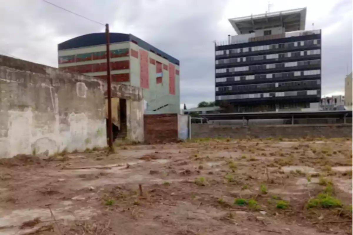 Terreno baldío con vegetación dispersa y edificios al fondo en un día nublado Terreno baldío con vegetación dispersa y edificios al fondo en un día nublado