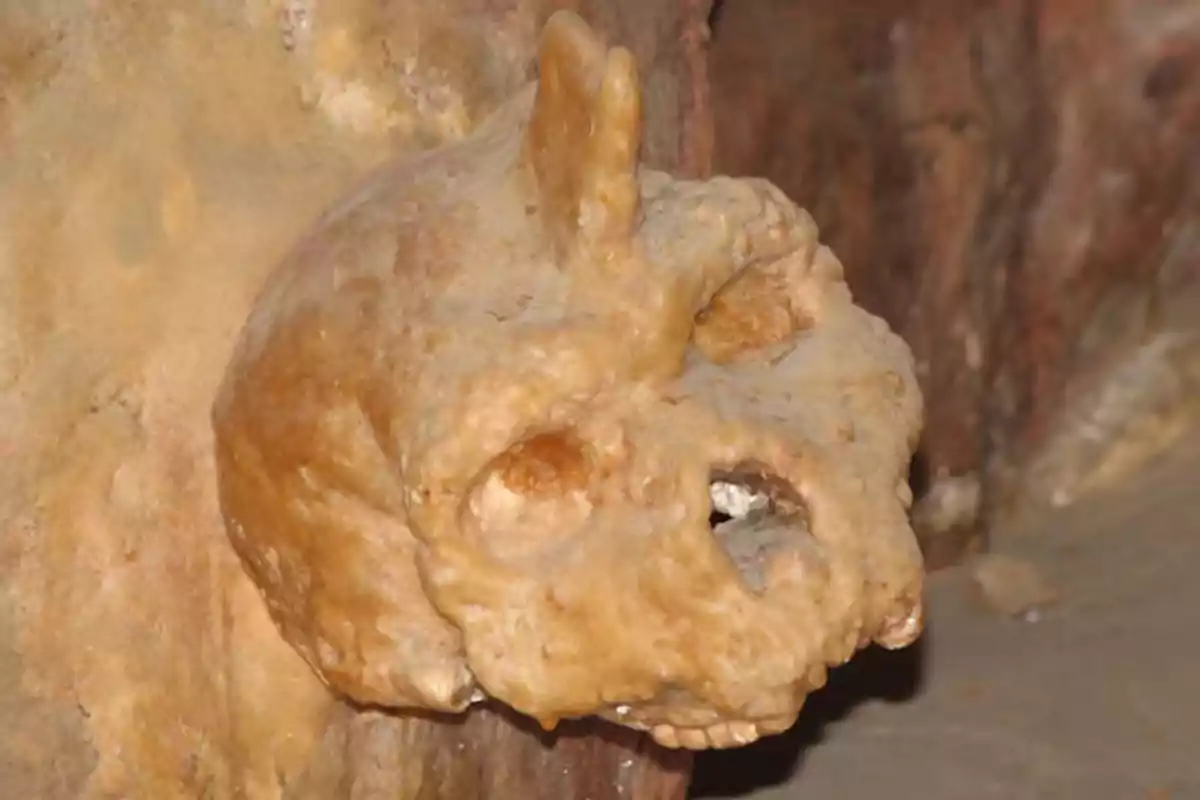 Rock formation in a cave that resembles an animal skull Rock formation in a cave that resembles an animal skull