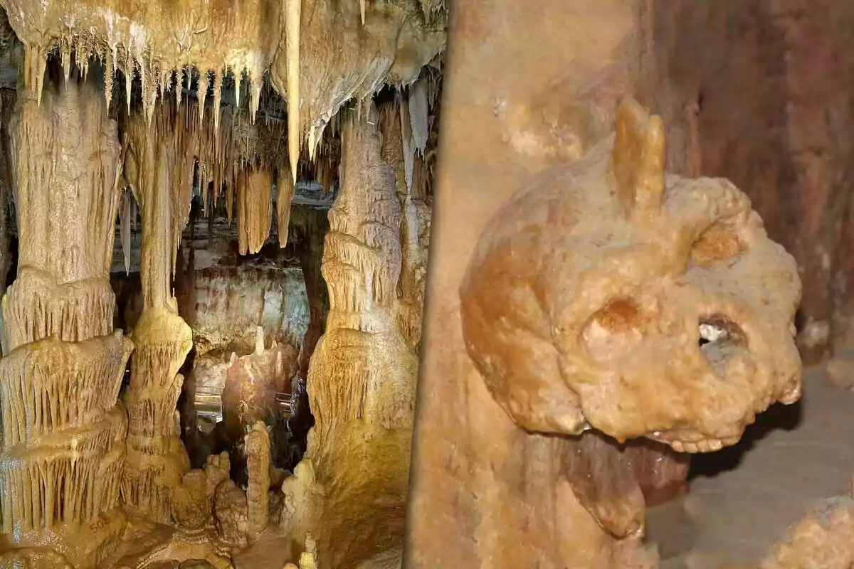 Stalactite and stalagmite formations in a cave next to a fossil covered in minerals