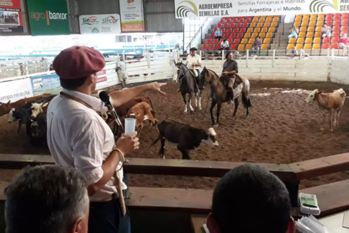 Cattle auction in an indoor arena with a man pointing and speaking into a microphone while several people watch and two riders are on horseback inside the pen alongside several cows. Cattle auction in an indoor arena with a man pointing and speaking into a microphone while several people watch and two riders are on horseback inside the pen alongside several cows.