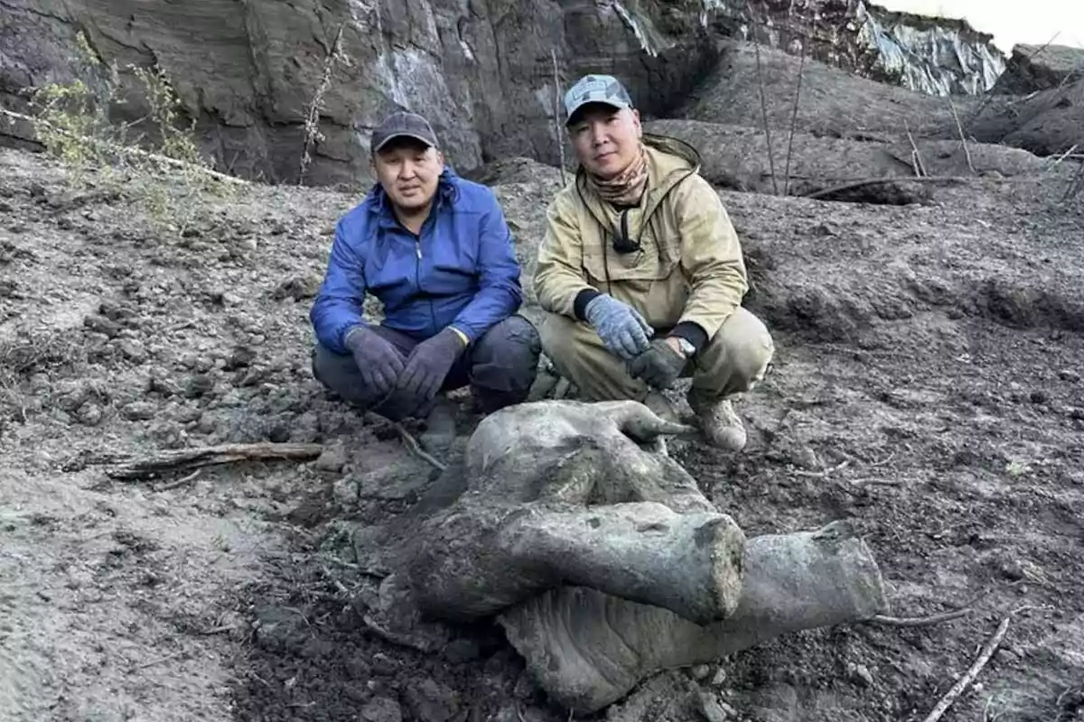 Two people pose next to a partially unearthed mammoth fossil on rocky ground. Two people pose next to a partially unearthed mammoth fossil on rocky ground.