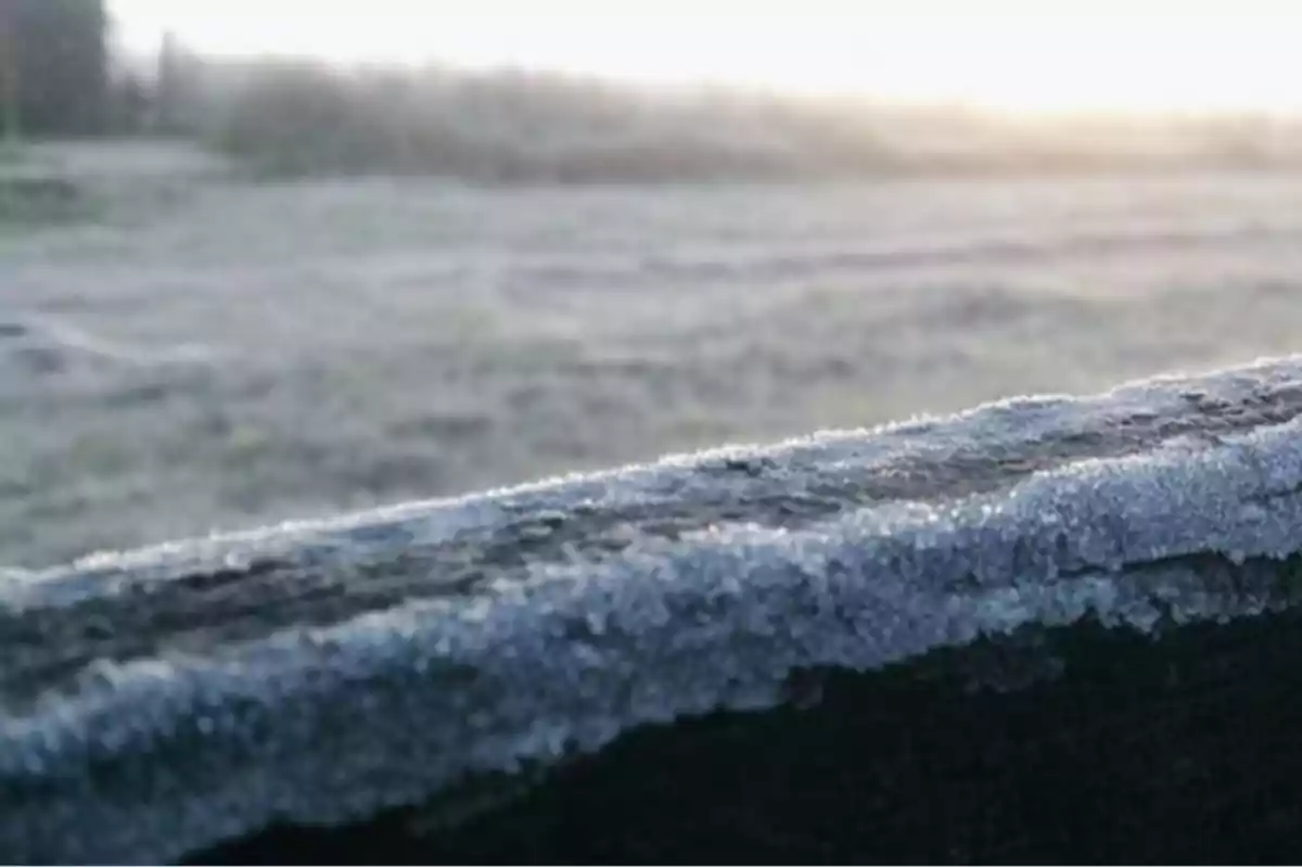 Frost-covered wooden fence in a field at dawn Frost-covered wooden fence in a field at dawn