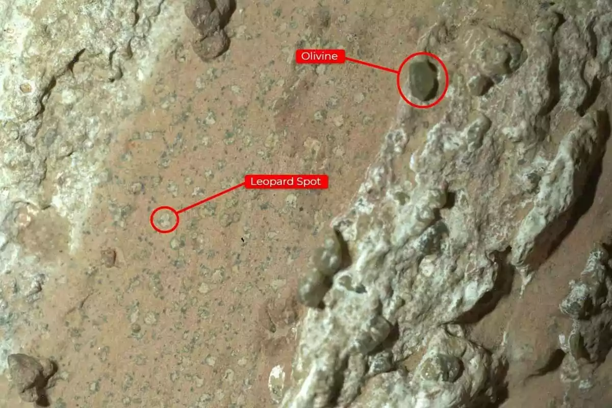 Image of a rock with labels in English indicating an olivine mineral and a spot called Leopard Spot Image of a rock with labels in English indicating an olivine mineral and a spot called Leopard Spot