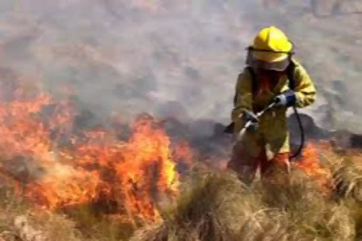 Firefighter in protective gear extinguishing a wildfire in grasslands Firefighter in protective gear extinguishing a wildfire in grasslands