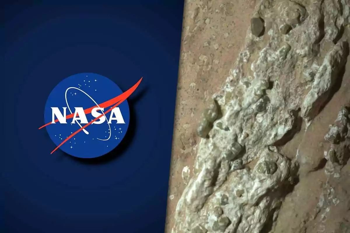 NASA logo next to an image of a rock with a rough texture and brown and white tones