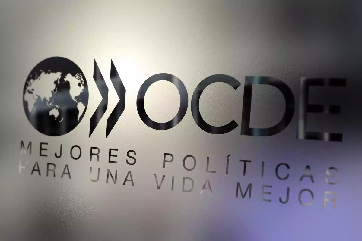 OECD logo with the motto Better Policies for Better Lives on a frosted glass surface OECD logo with the motto Better Policies for Better Lives on a frosted glass surface