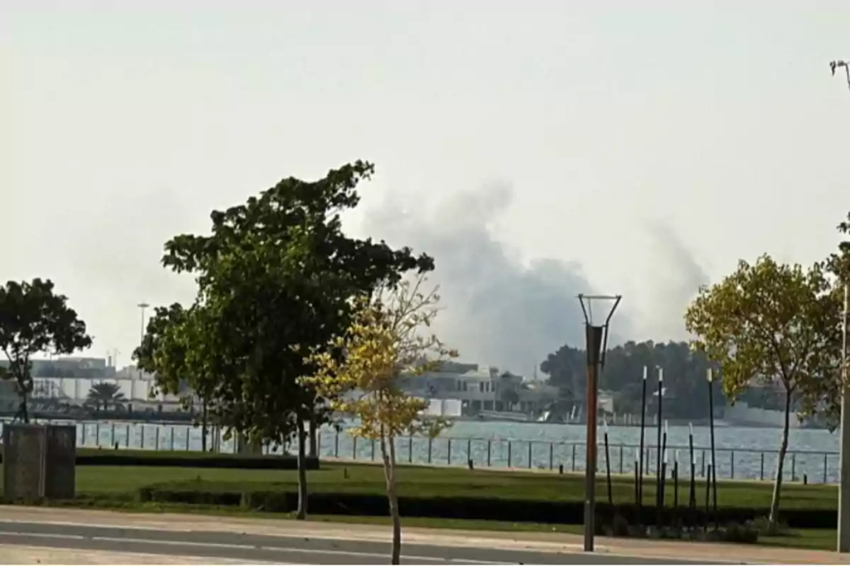 Se observa una columna de humo elevándose en el fondo cerca de una zona costera con árboles y césped en primer plano Se observa una columna de humo elevándose en el fondo cerca de una zona costera con árboles y césped en primer plano