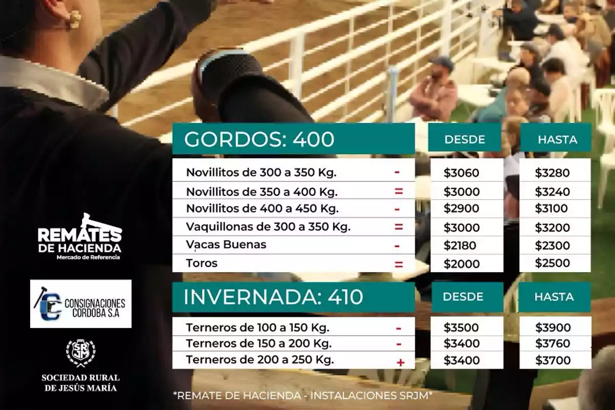 Image of a livestock auction with a price board for different categories of animals, including young steers, heifers, cows, bulls, and calves, showing minimum and maximum values in Argentine pesos, and people seated in the background watching the event. Image of a livestock auction with a price board for different categories of animals, including young steers, heifers, cows, bulls, and calves, showing minimum and maximum values in Argentine pesos, and people seated in the background watching the event.