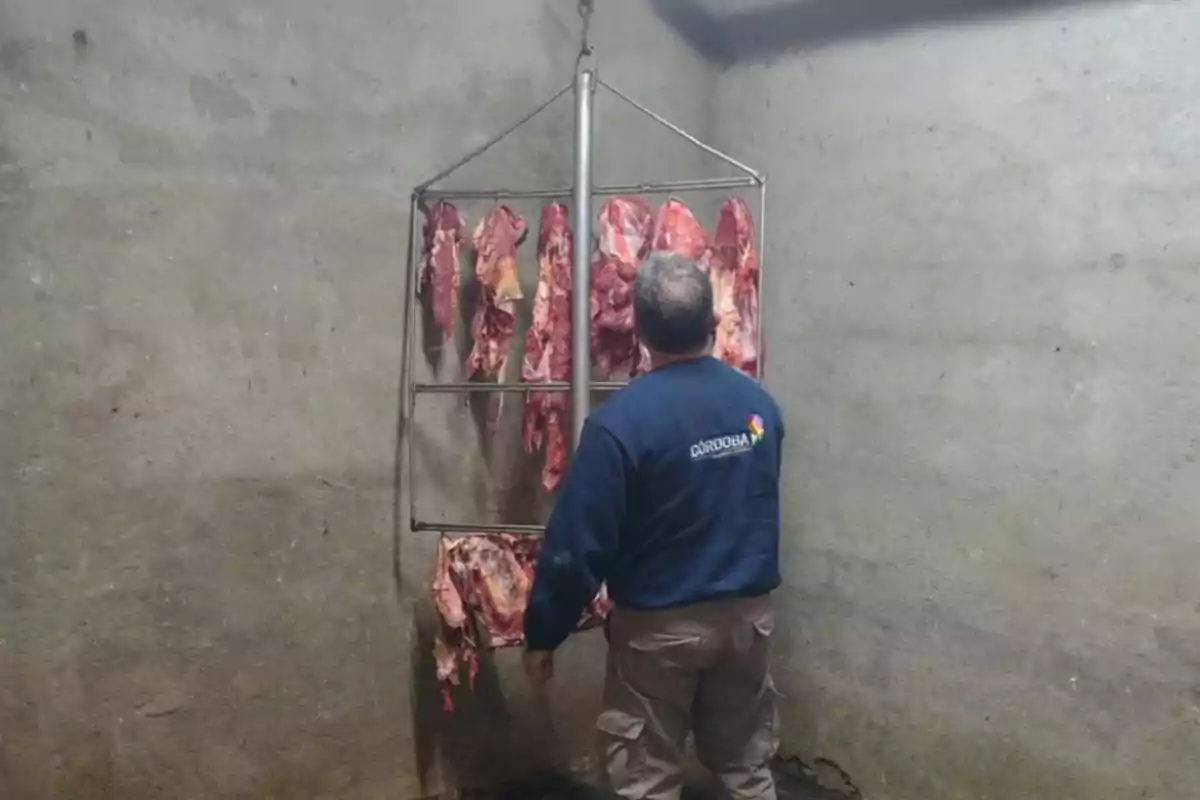 A man with his back turned observes several pieces of meat hanging in a room with gray walls.