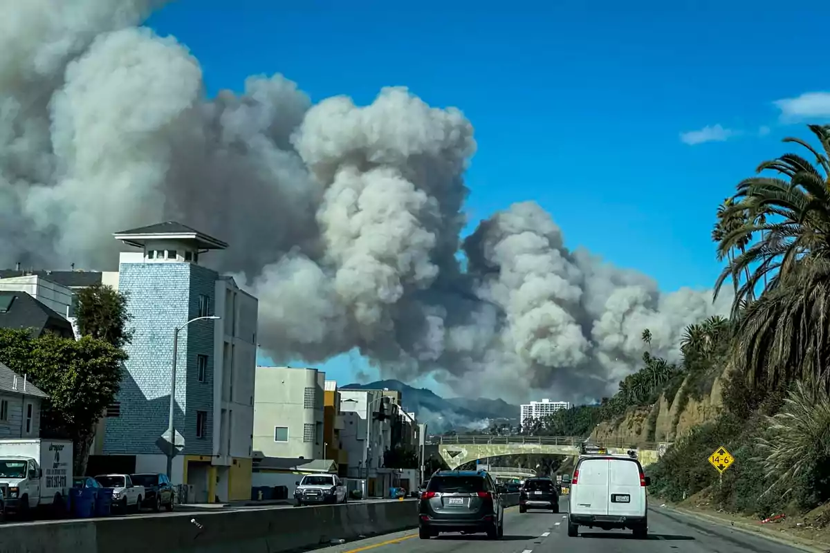 Coches circulan por una carretera mientras grandes columnas de humo se elevan en el horizonte bajo un cielo azul.