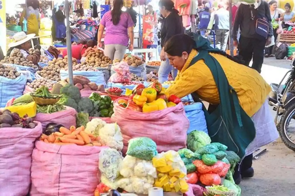 A woman inspects fresh produce at an open-air market filled with colorful sacks of vegetables and fruits. A woman inspects fresh produce at an open-air market filled with colorful sacks of vegetables and fruits.