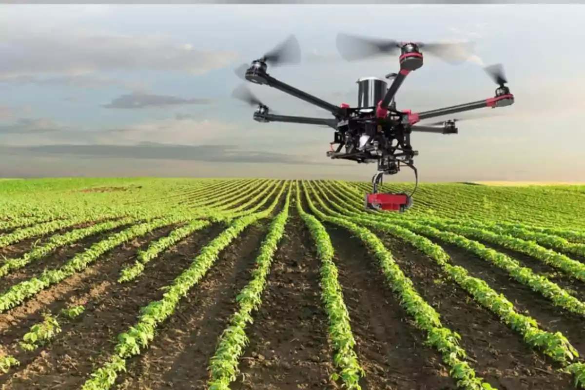 A drone flies over a crop field with rows of green plants under a partly cloudy sky. A drone flies over a crop field with rows of green plants under a partly cloudy sky.