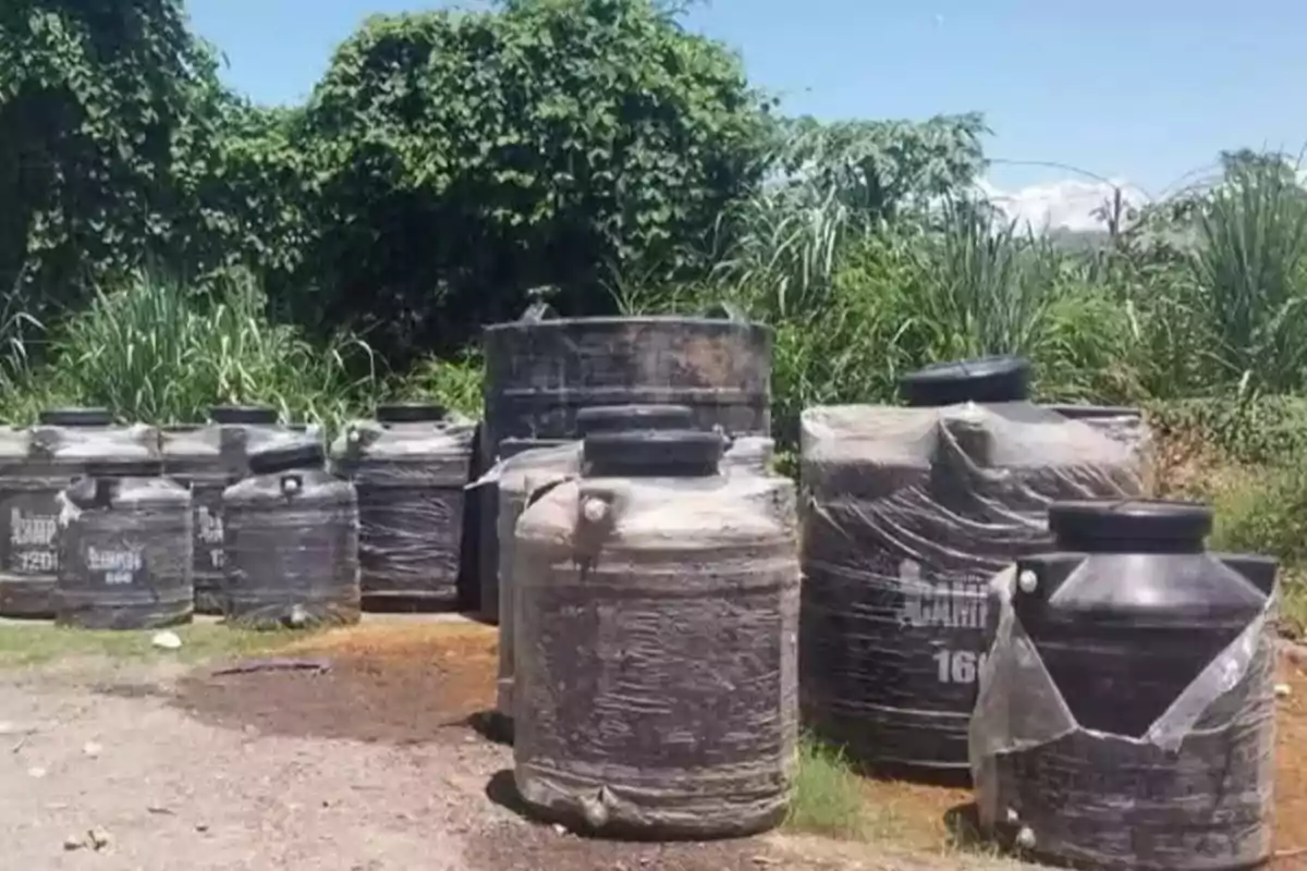 Varios tanques de plástico negro envueltos en plástico transparente están alineados en un área al aire libre con vegetación densa al fondo.