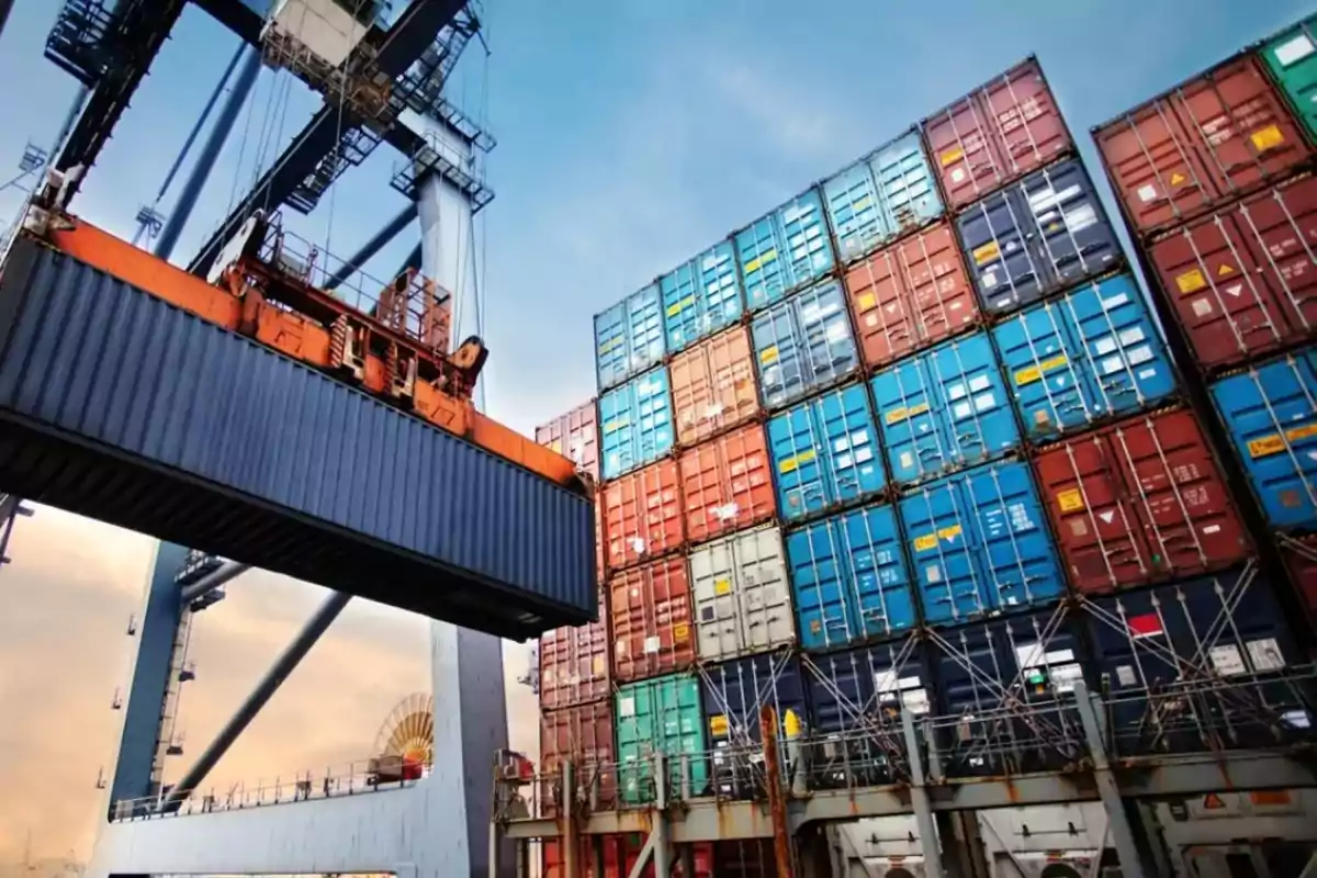 Port crane lifting a container on a dock with stacks of colorful containers in the background.