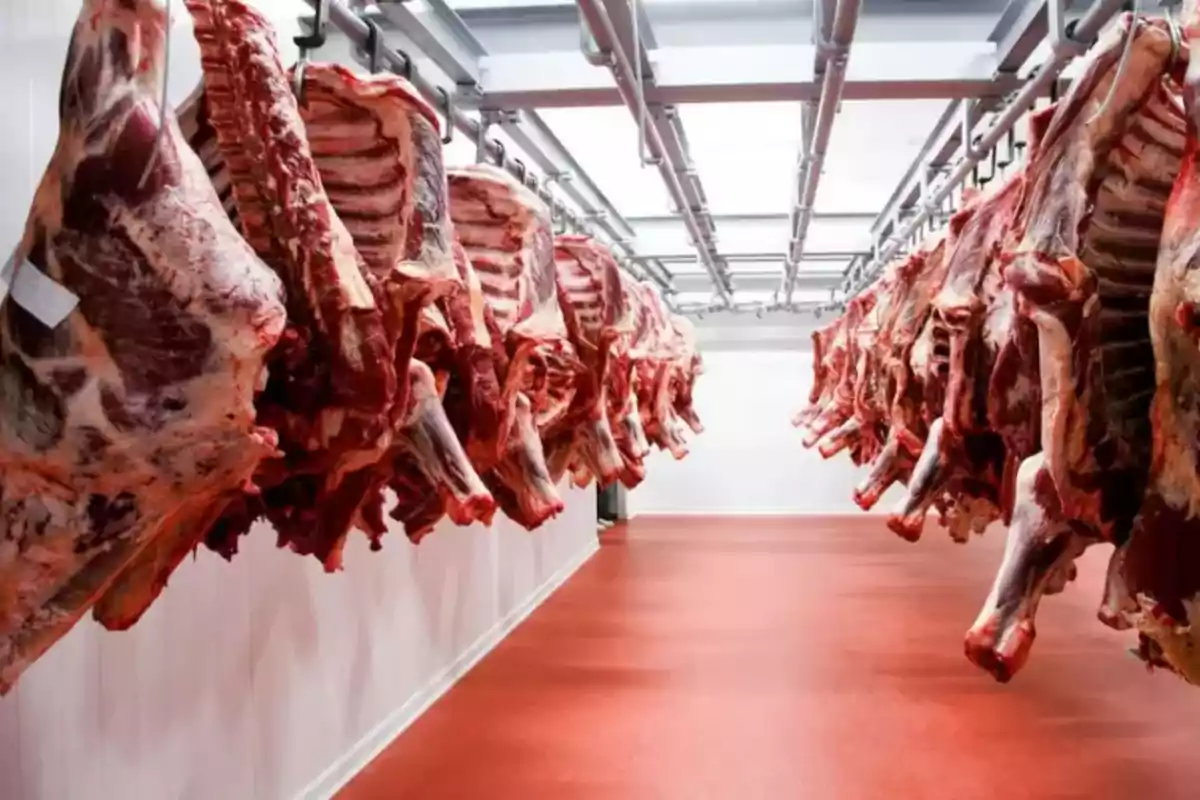 noticiaspuertosantacruz.com.ar - Imagen extraida de: https://derechadiario.com.ar/economia/mega-record-exportacion-carne-2024-se-llego-al-volumen-mas-alto-57-anos