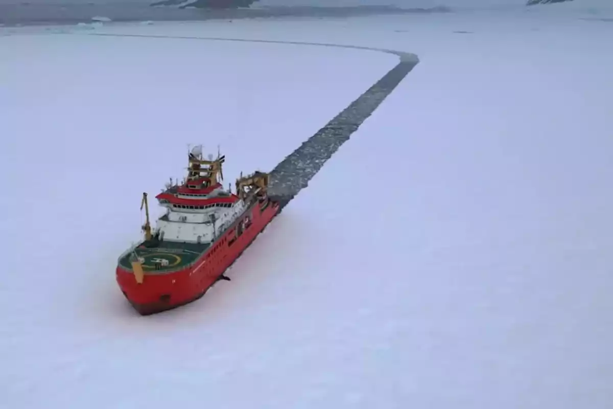 Un rompehielos rojo navega a través de un vasto campo de hielo en un paisaje ártico.