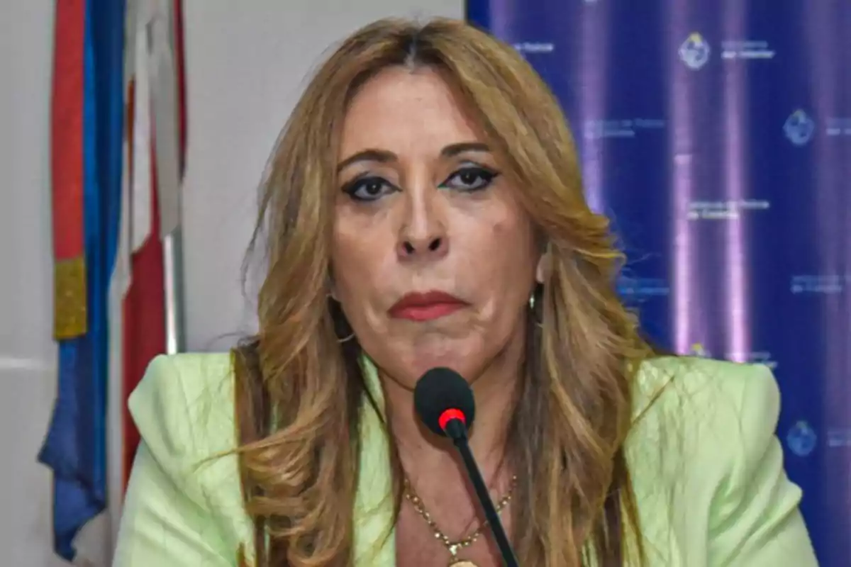 Blonde, long-haired woman speaking in front of a microphone with a blue institutional background and flags on the side Blonde, long-haired woman speaking in front of a microphone with a blue institutional background and flags on the side