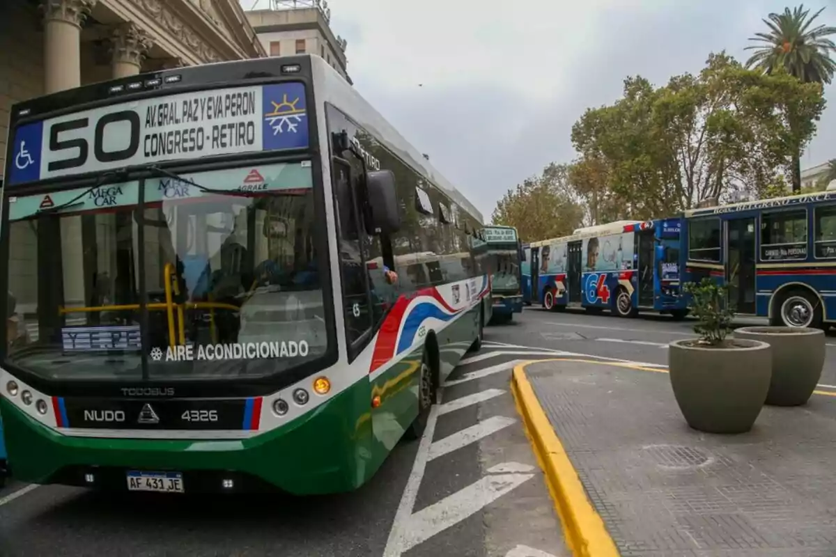 Un autobús de la línea 50 circula por una calle de la ciudad con otros autobuses en el fondo y árboles alrededor.